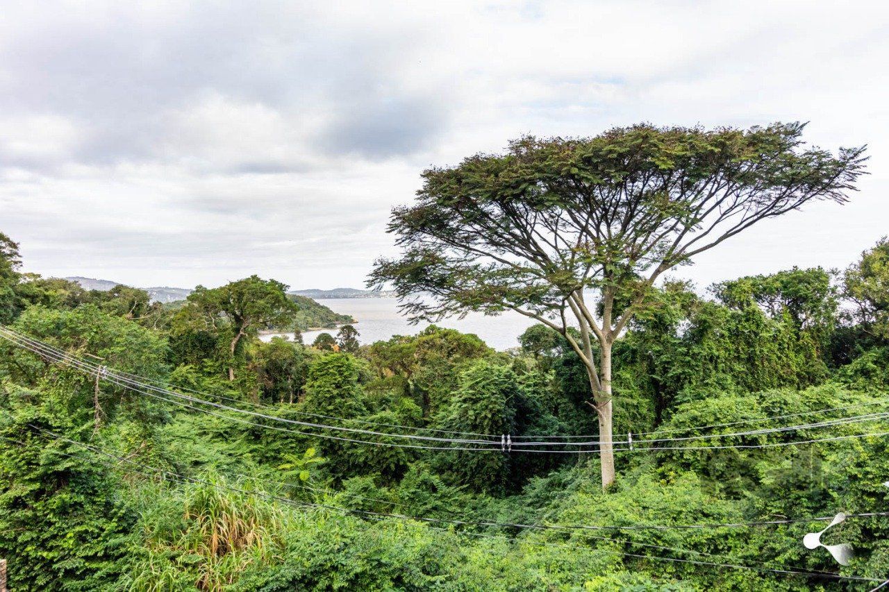 TERRENO, 1.236m, SETIMO CEU, PORTO ALEGRE, RS — foto 1