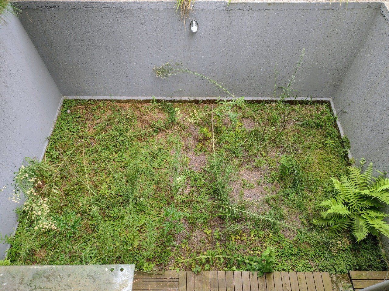 CASA TÉRREA - 2 DORMITÓRIOS, ÁREA COBERTA COM CHURRASQUEIRA , TERRAÇO - 02 VAGAS — foto 25