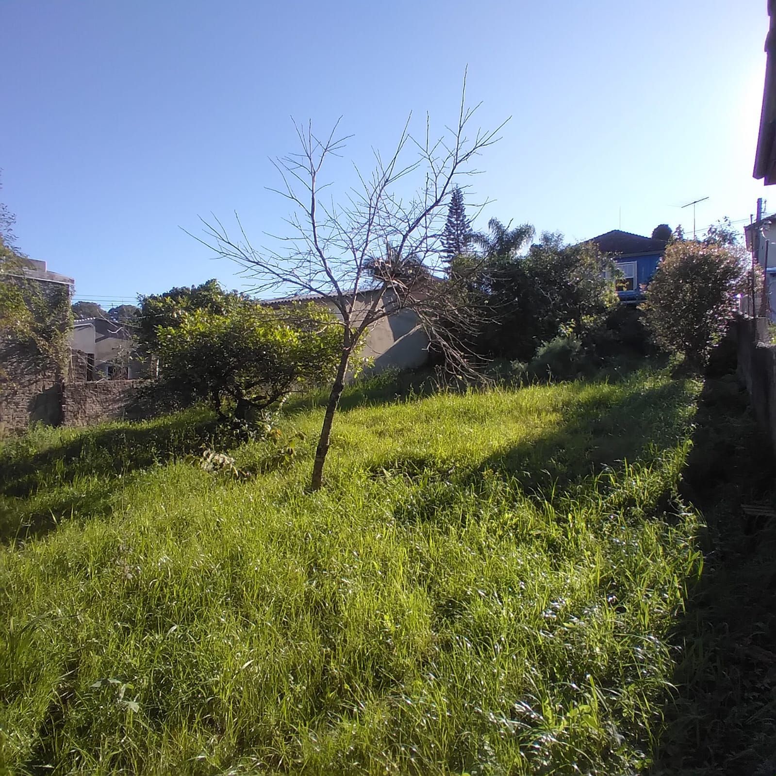 EXCELENTE TERRENO EM BELÉM VELHO — foto 10