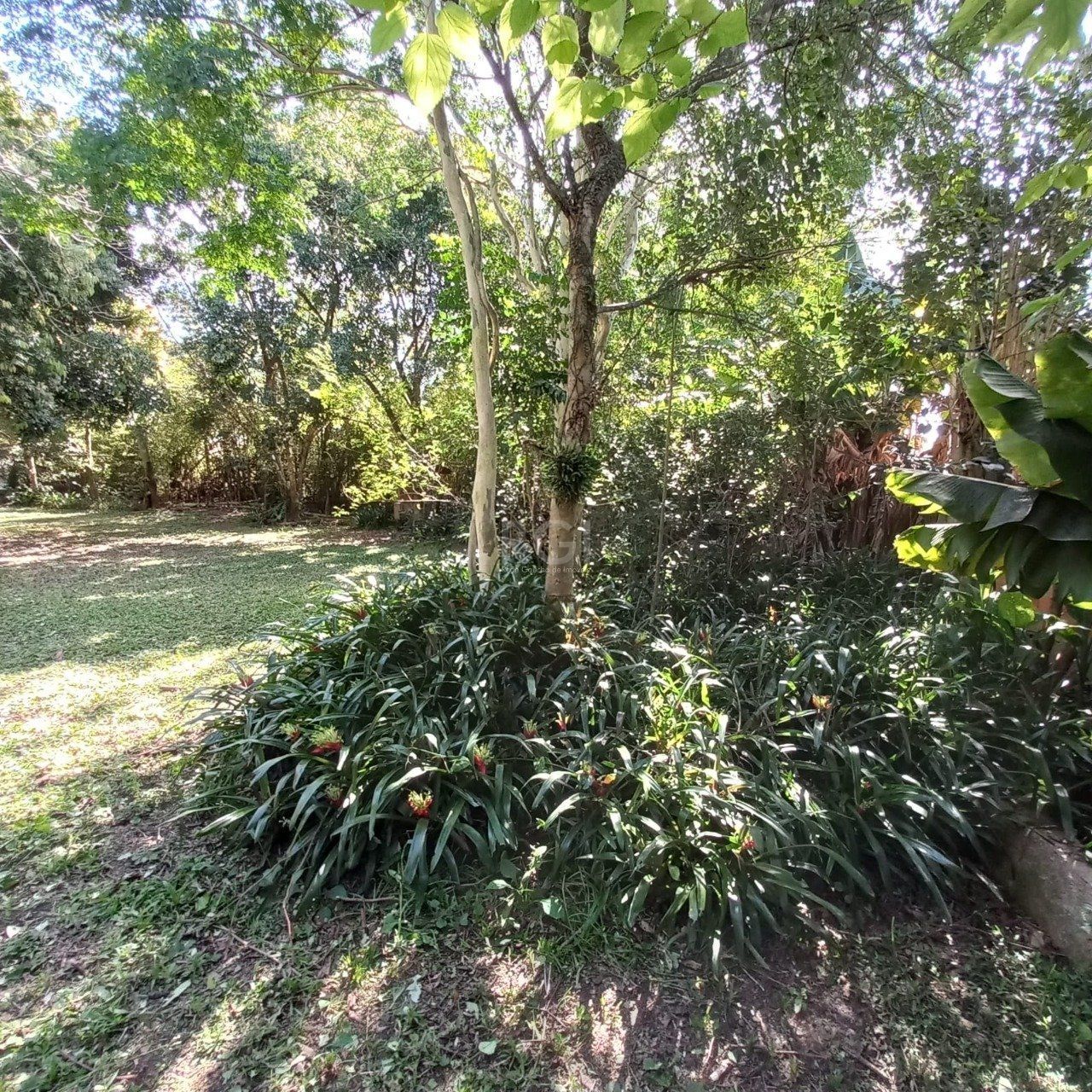 Terreno para Venda - 0m², 0 dormitórios, Belém Novo, Porto Alegre — foto 4