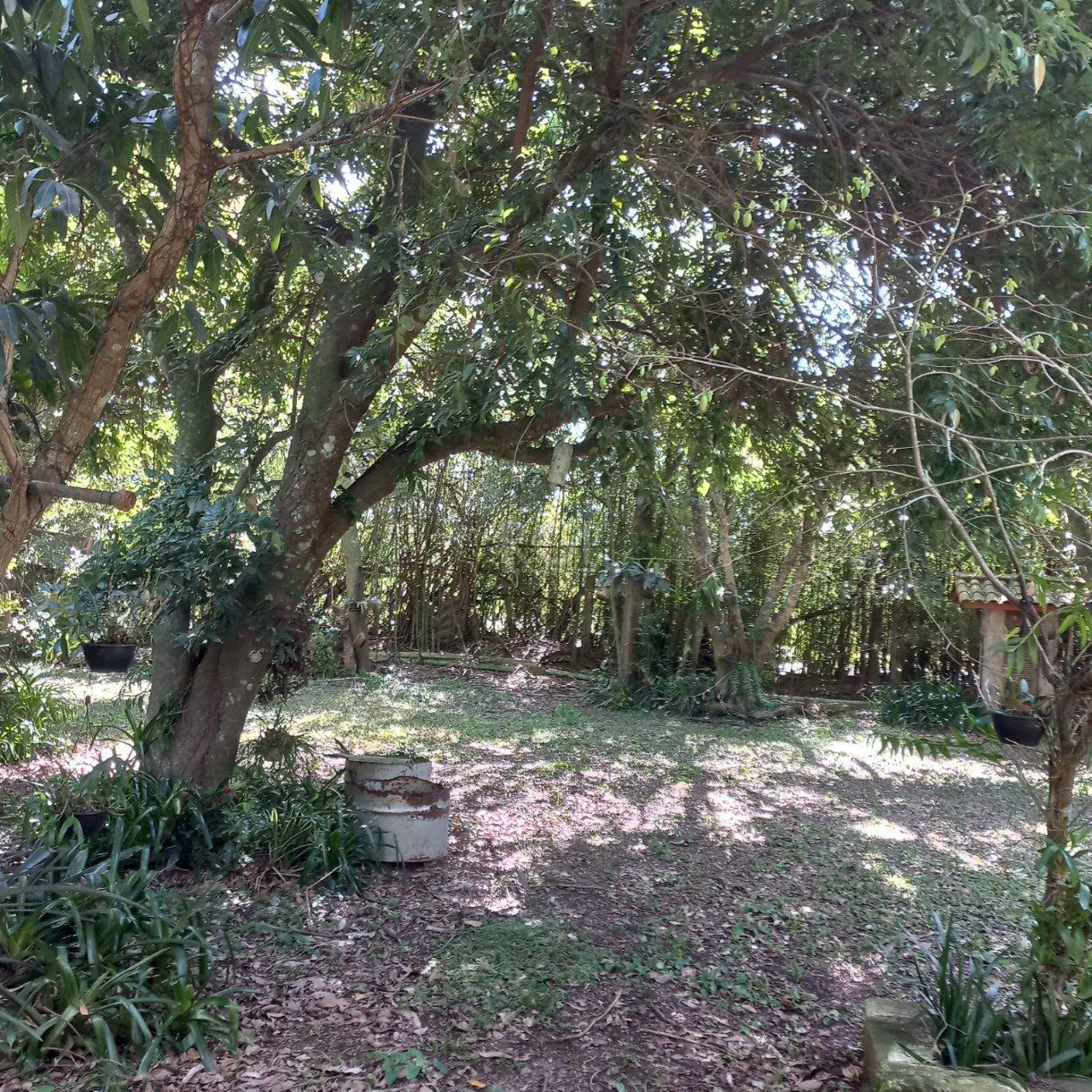 Terreno para Venda - 0m², 0 dormitórios, Belém Novo, Porto Alegre — foto 11