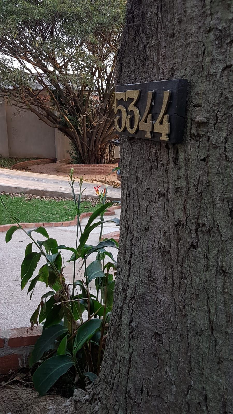 Casa Centenária no Bairro Belém Velho Residencial/Comercial — foto 46