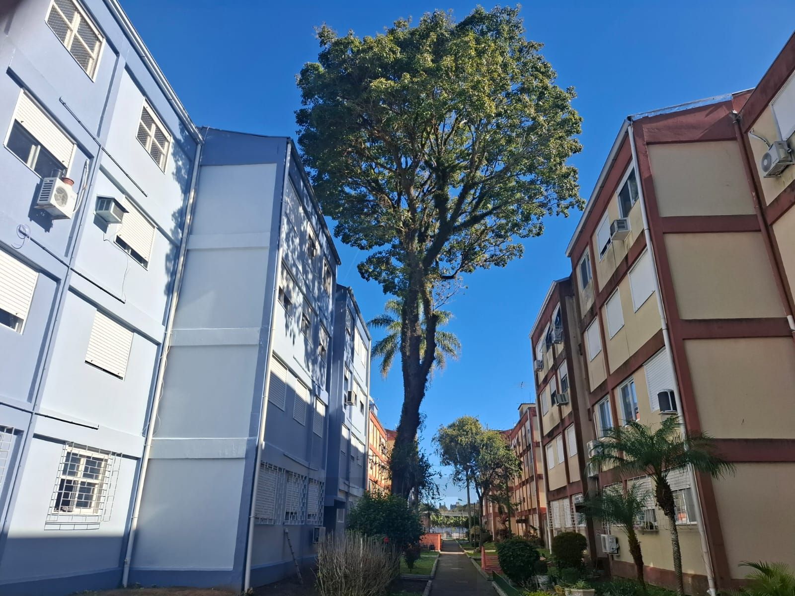 Apartamento de 02 dormitórios no Bairro Camaquã em Porto Alegre- RS — foto 1
