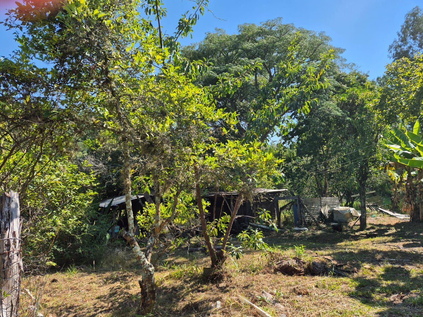 Sítio com casa de 3 dormitórios e 3.000m² à venda no Canta Galo em Porto Alegre — foto 29