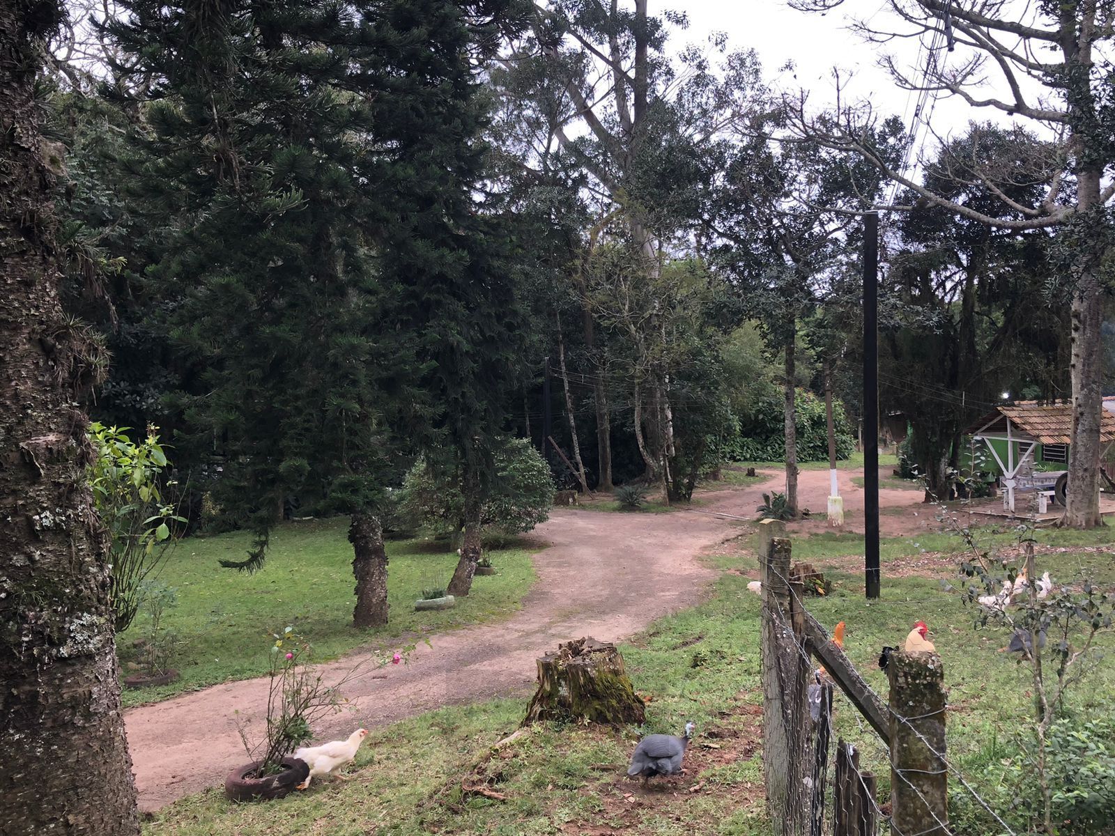 Sítio Rural de 121.672,00 M² no Bairro Belém Velho Poa-RS — foto 1