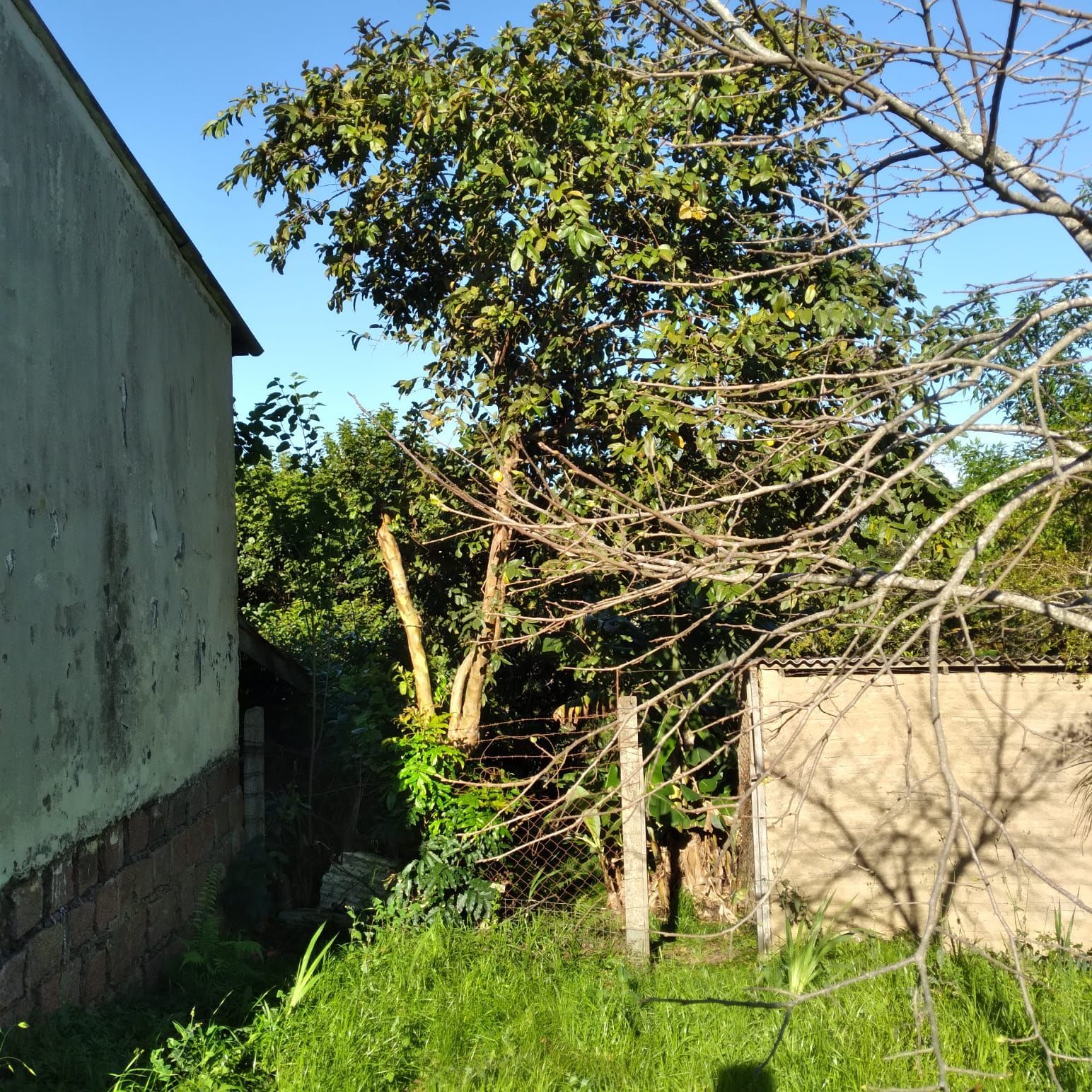 EXCELENTE TERRENO EM BELÉM VELHO — foto 7