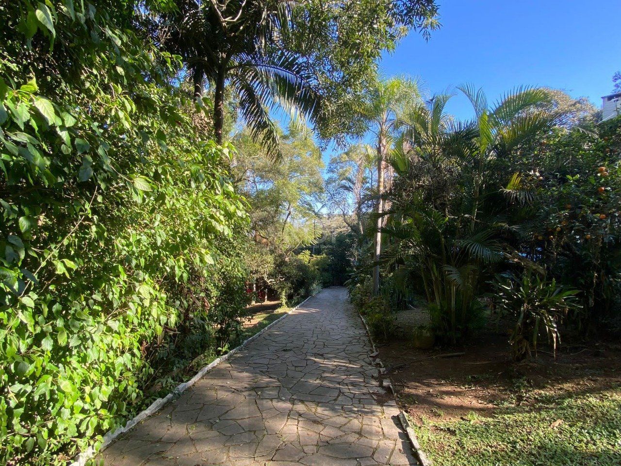 Sítio 2 dormitórios , sendo 2 suites, Ponta Grossa, Porto Alegre RS — foto 30