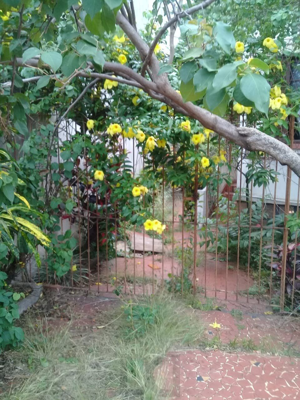 Casa de 4 dormitórios na Av. Teresópolis bairro Teresópolis — foto 36