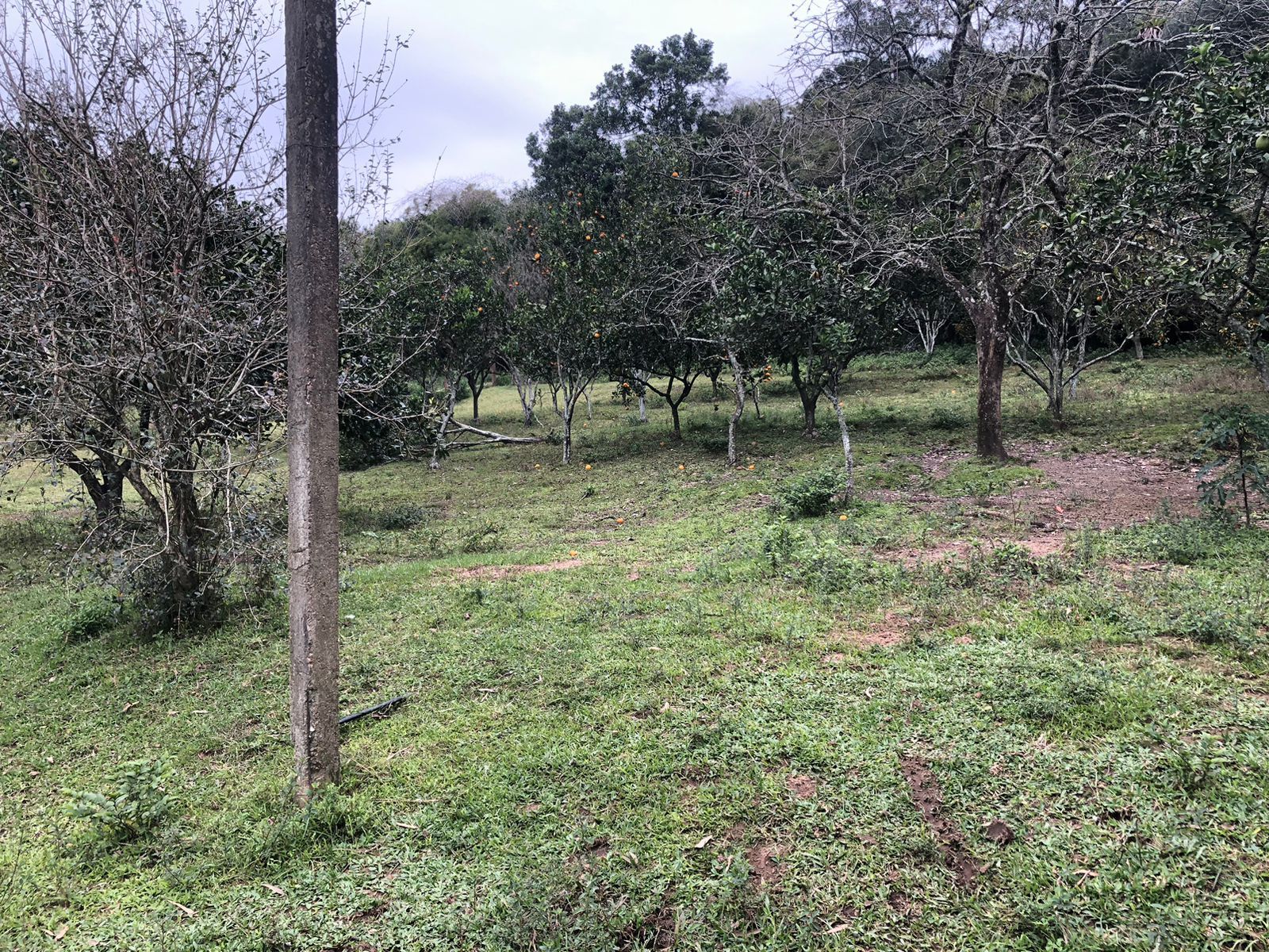 Sítio Rural de 121.672,00 M² no Bairro Belém Velho Poa-RS — foto 4