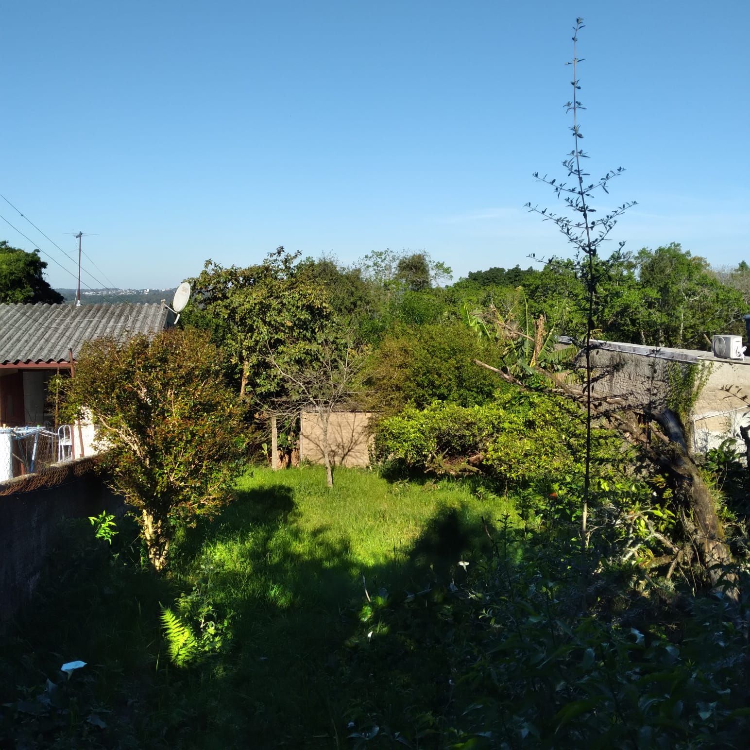 EXCELENTE TERRENO EM BELÉM VELHO — foto 14