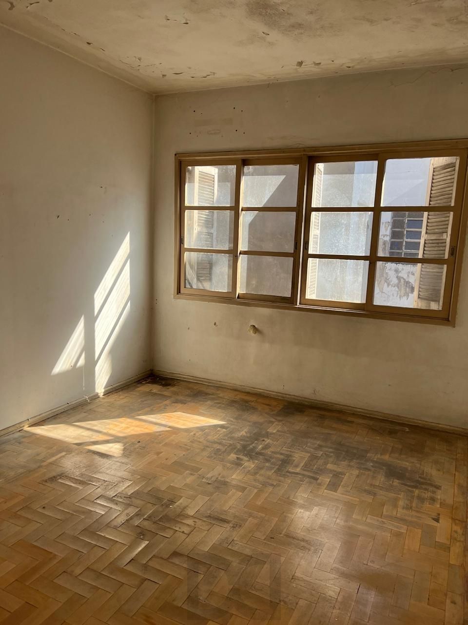 — foto 1