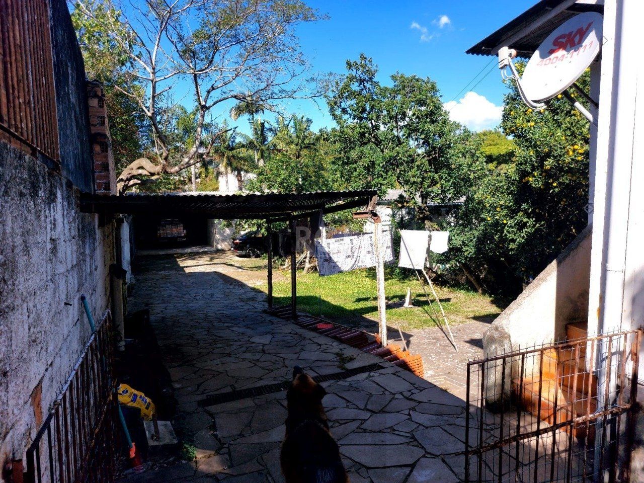 Terreno para Venda - 484m², 0 dormitórios, Cristal, Porto Alegre — foto 8