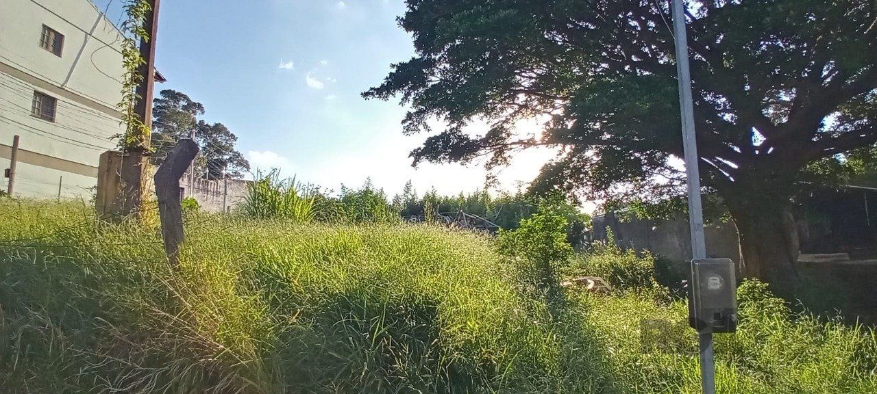 Terreno no Bairro Nonoai com 2.468,40m² — foto 8