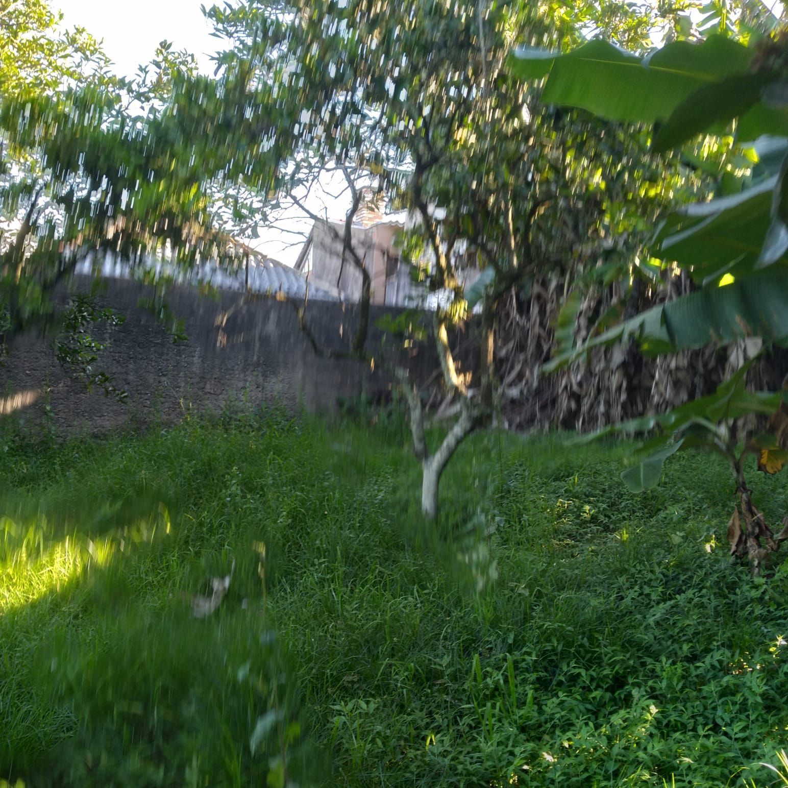 EXCELENTE TERRENO EM BELÉM VELHO — foto 5