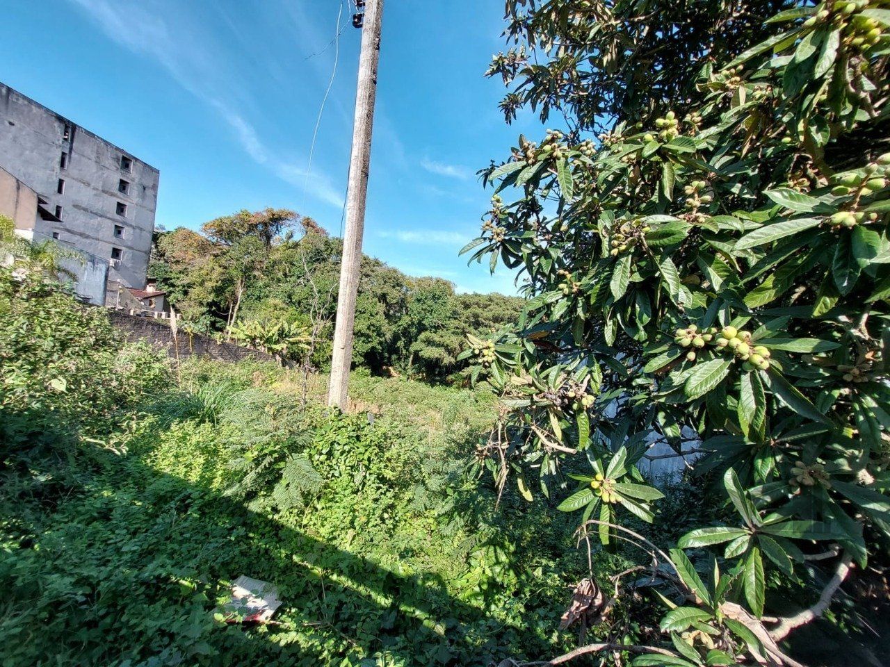 — foto 11