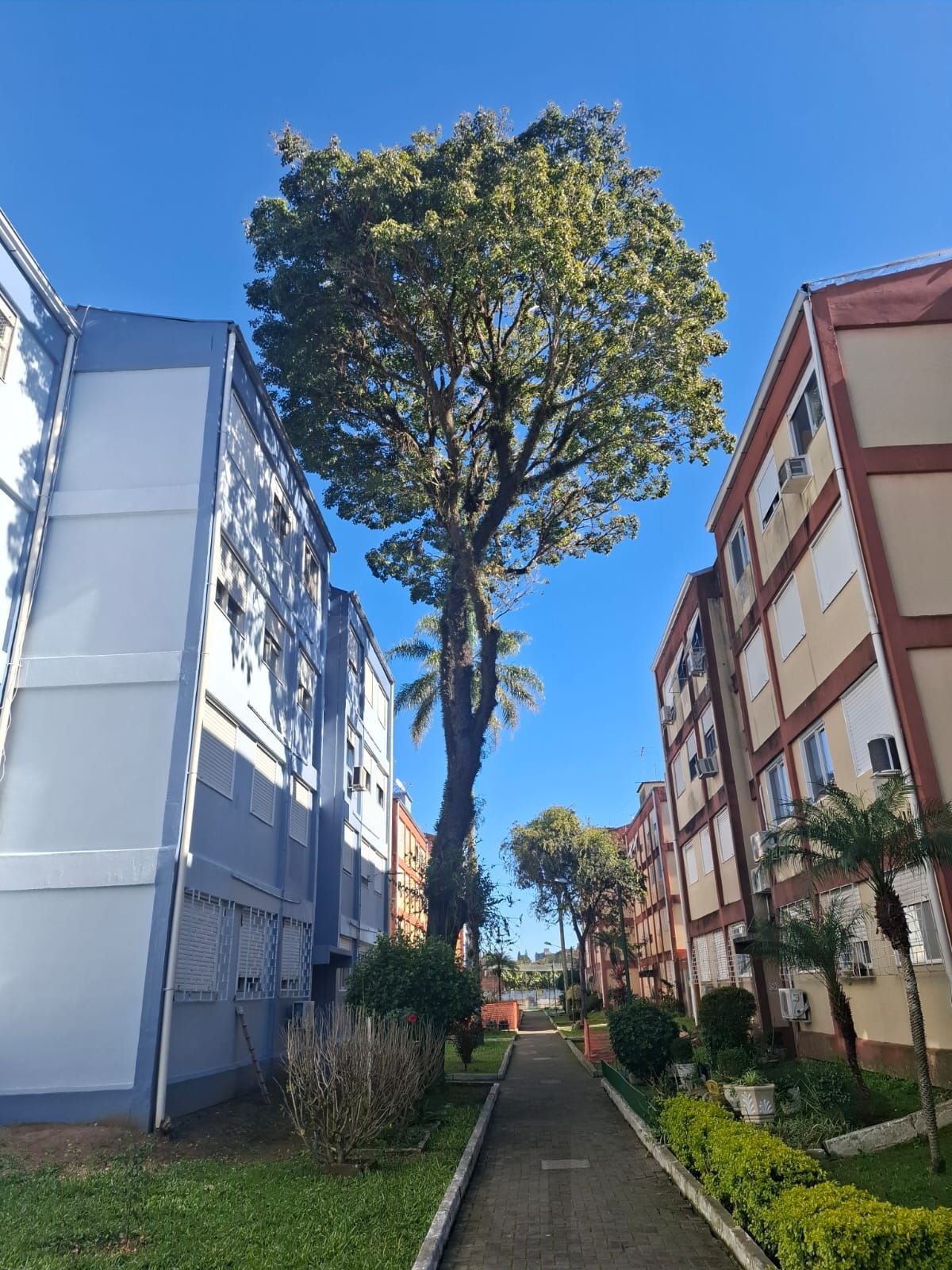 Apartamento de 02 dormitórios no Bairro Camaquã em Porto Alegre- RS — foto 3