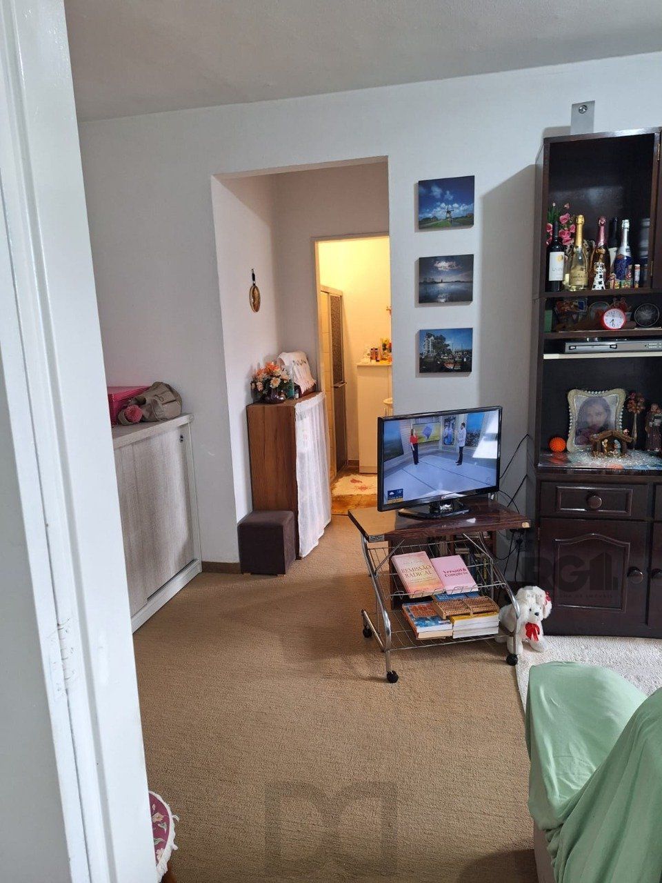 APARTAMENTO 1 DORMITÓRIOS, VAGA CARRO, BAIRRO SANTA TERESA, PORTO ALEGRE/RS — foto 14