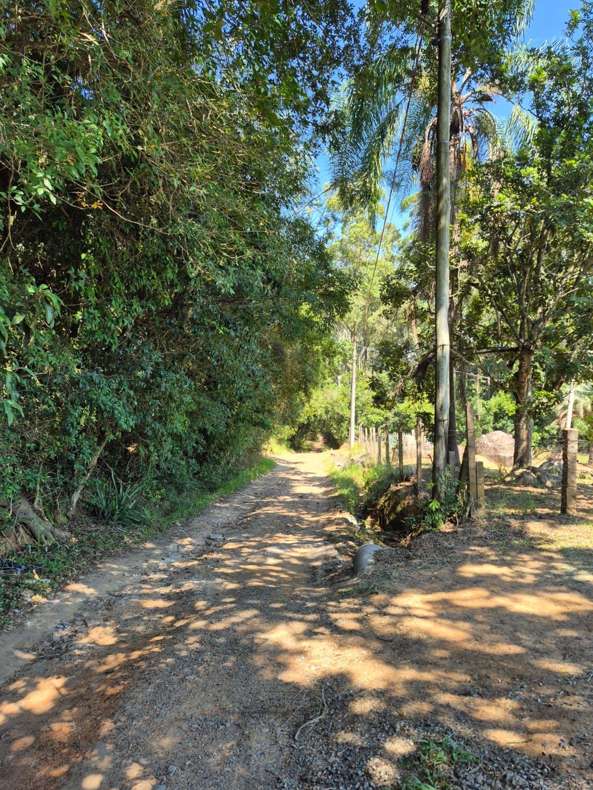 Sítio com casa de 3 dormitórios e 3.000m² à venda no Canta Galo em Porto Alegre — foto 23