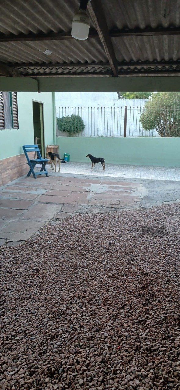 — foto 5