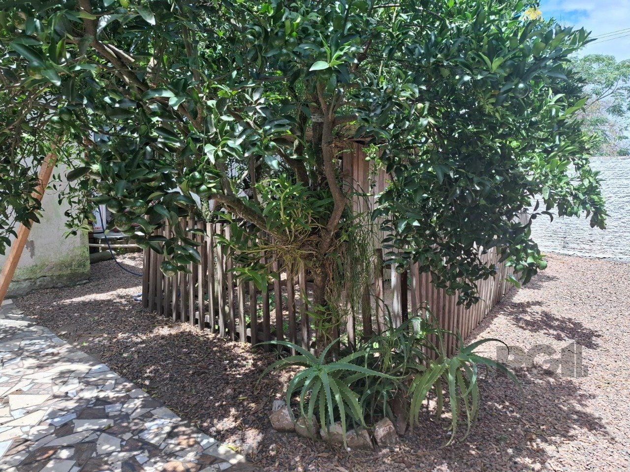 — foto 13