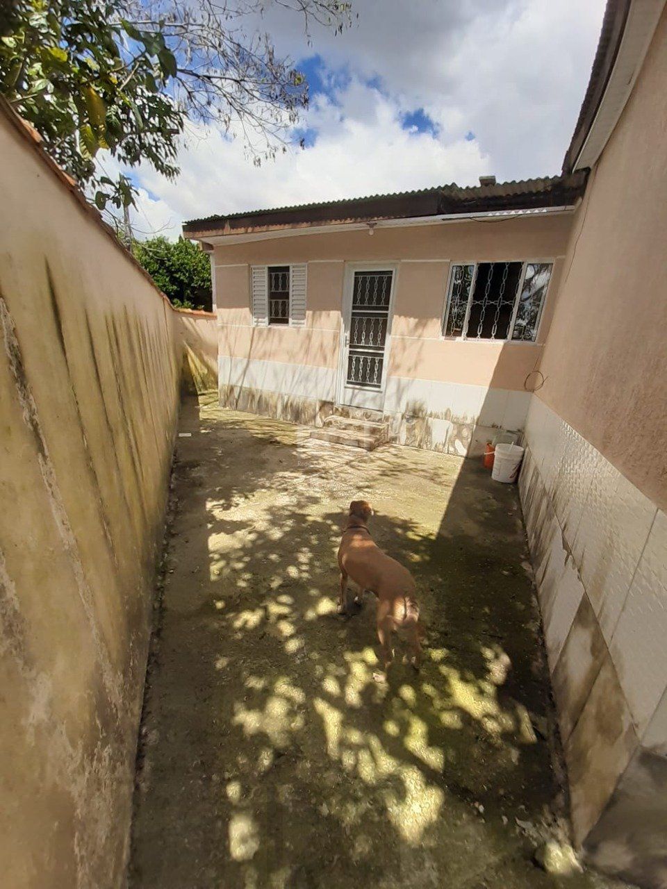 Terreno para Venda - 180m², 0 dormitórios, Vila Jardim, Porto Alegre — foto 12