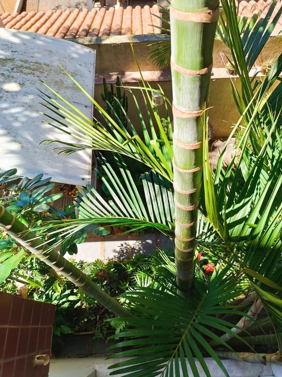 Apartamento para Venda 2 dormitórios, 1 vaga - Jardim do Salso — foto 19
