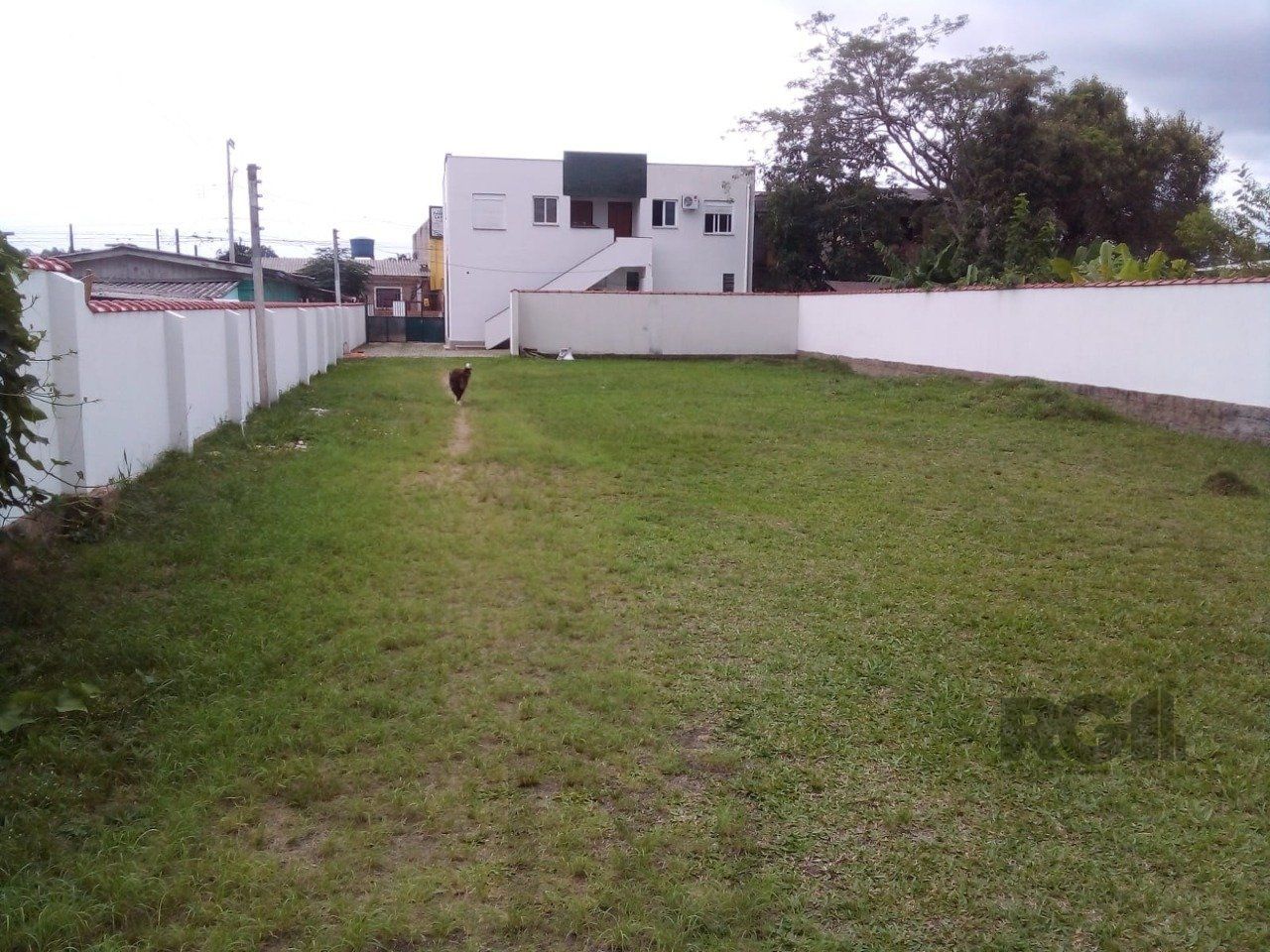 — foto 15