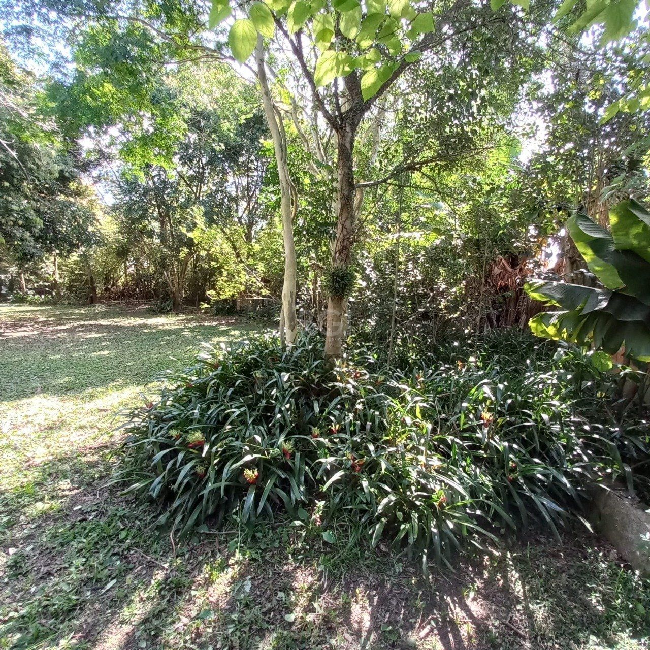 Terreno para Venda - 0m², 0 dormitórios, Belém Novo, Porto Alegre — foto 3