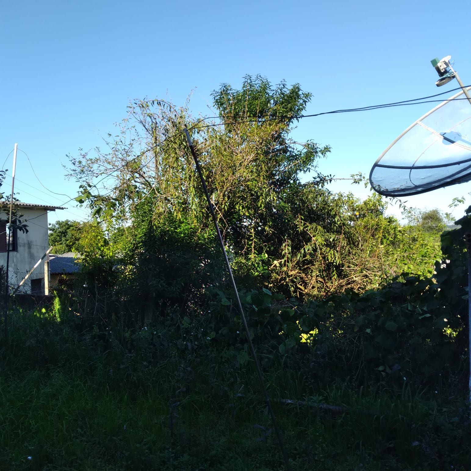 EXCELENTE TERRENO EM BELÉM VELHO — foto 13