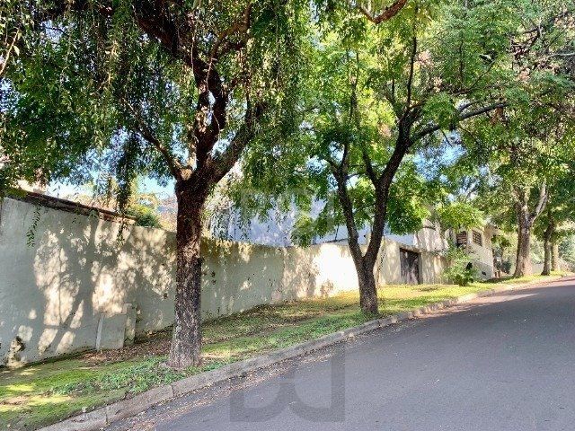 Casa de 3 dormitórios no bairro Bom Jesus — foto 5