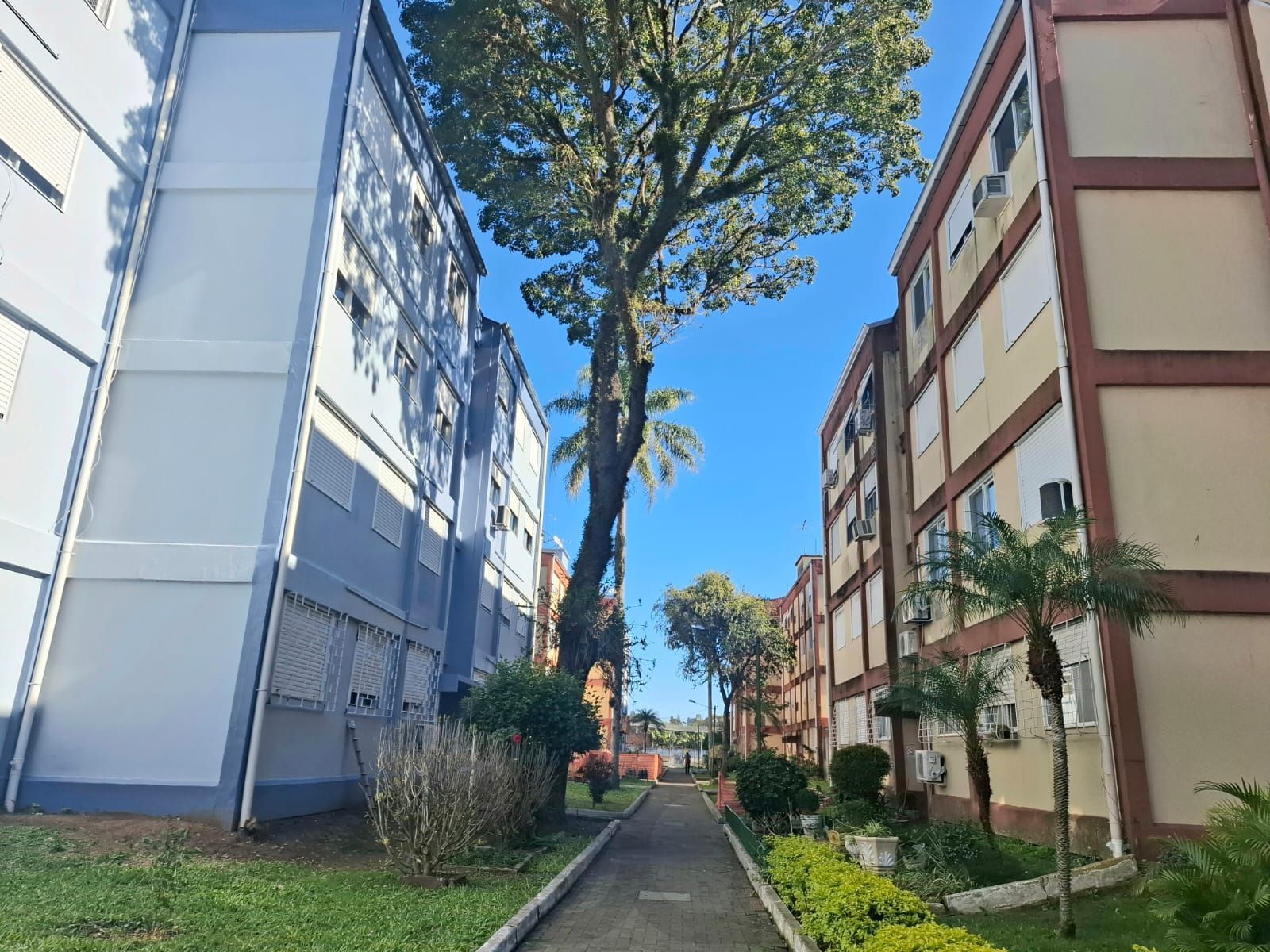 Apartamento de 02 dormitórios no Bairro Camaquã em Porto Alegre- RS — foto 2