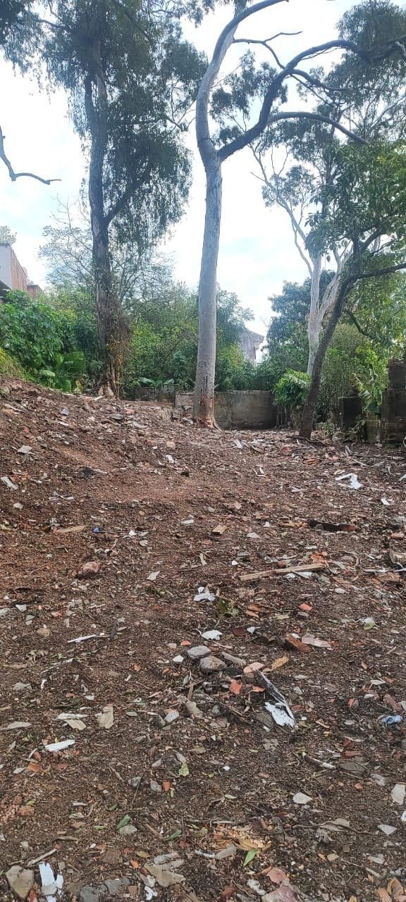 TERRENO AMPLO EM POSIÇÃO ALTA NO NONOAI – 455m² — foto 4