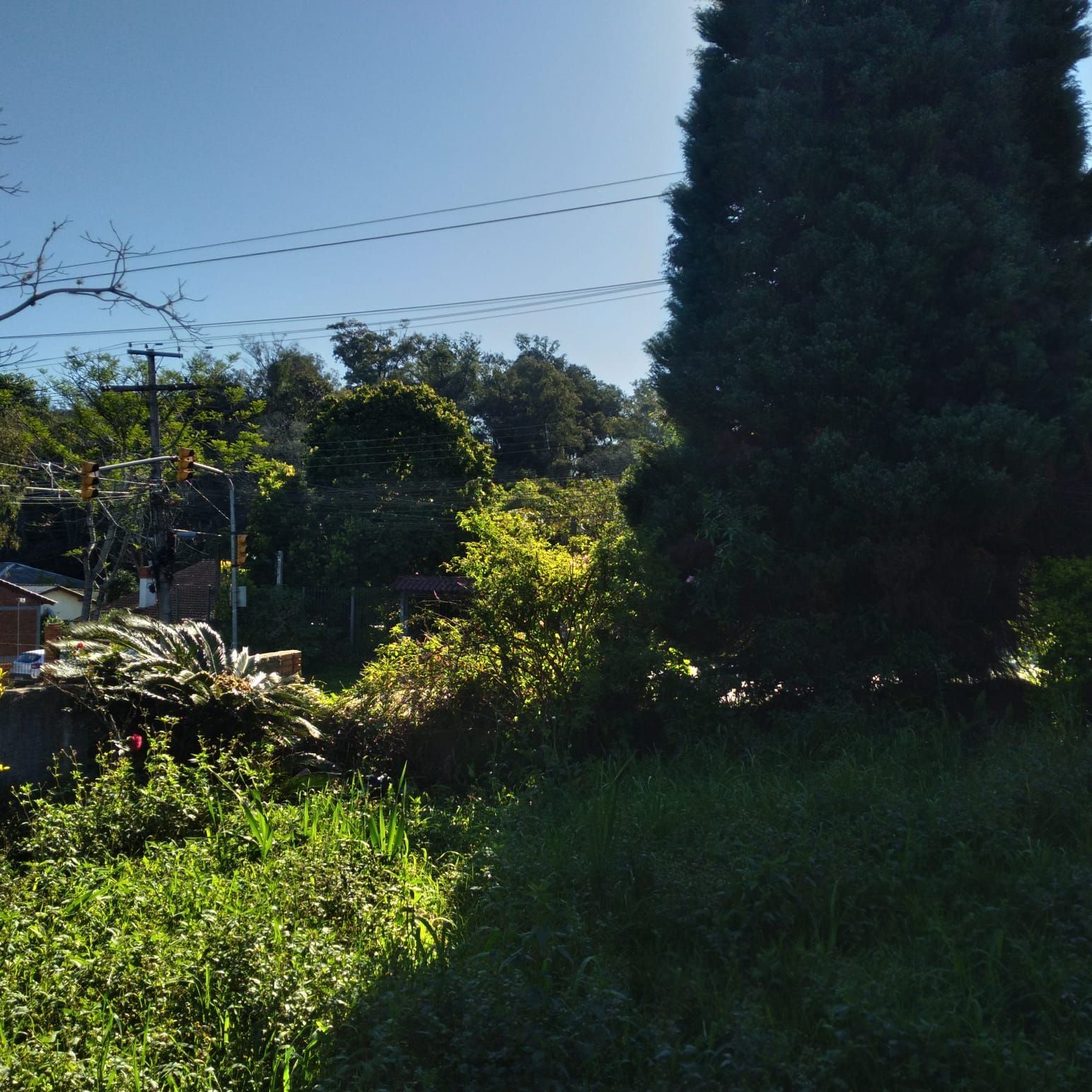 EXCELENTE TERRENO EM BELÉM VELHO — foto 16