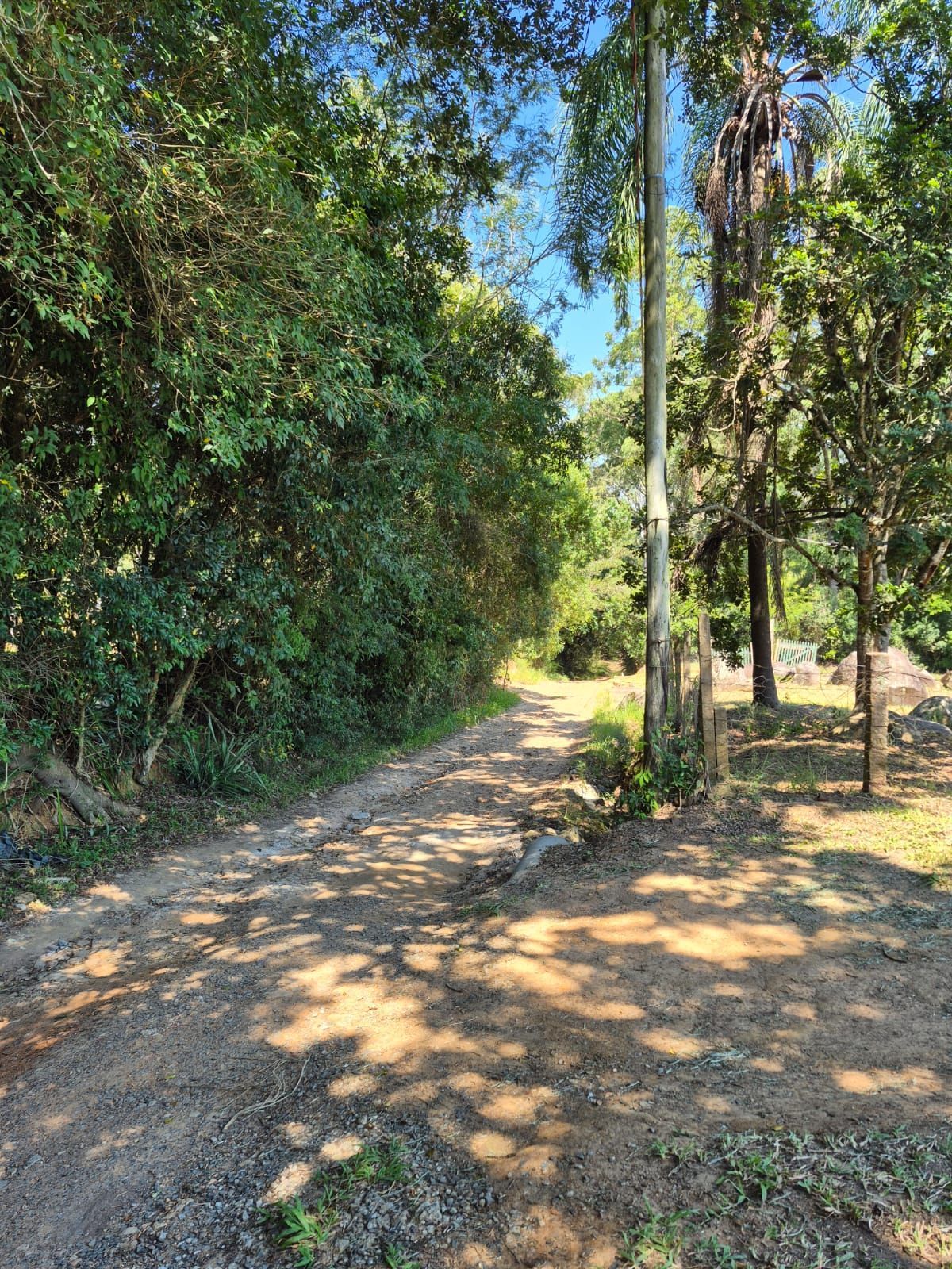 Sítio com casa de 3 dormitórios e 3.000m² à venda no Canta Galo em Porto Alegre — foto 31