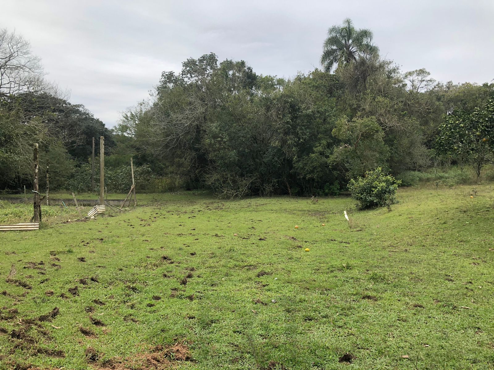 Sítio Rural de 121.672,00 M² no Bairro Belém Velho Poa-RS — foto 2