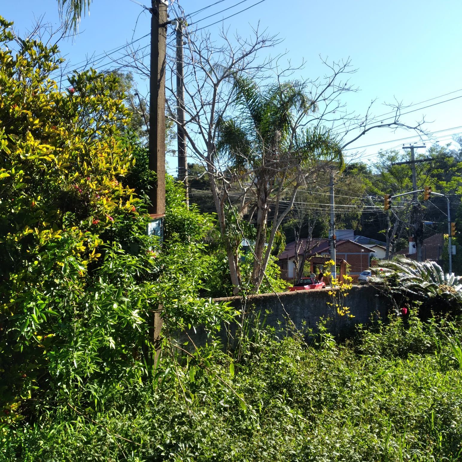 EXCELENTE TERRENO EM BELÉM VELHO — foto 15