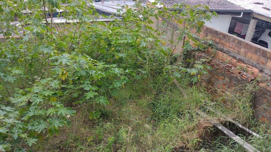 Casa de dois dormitórios localizada no Bairro Nonoai — foto 4