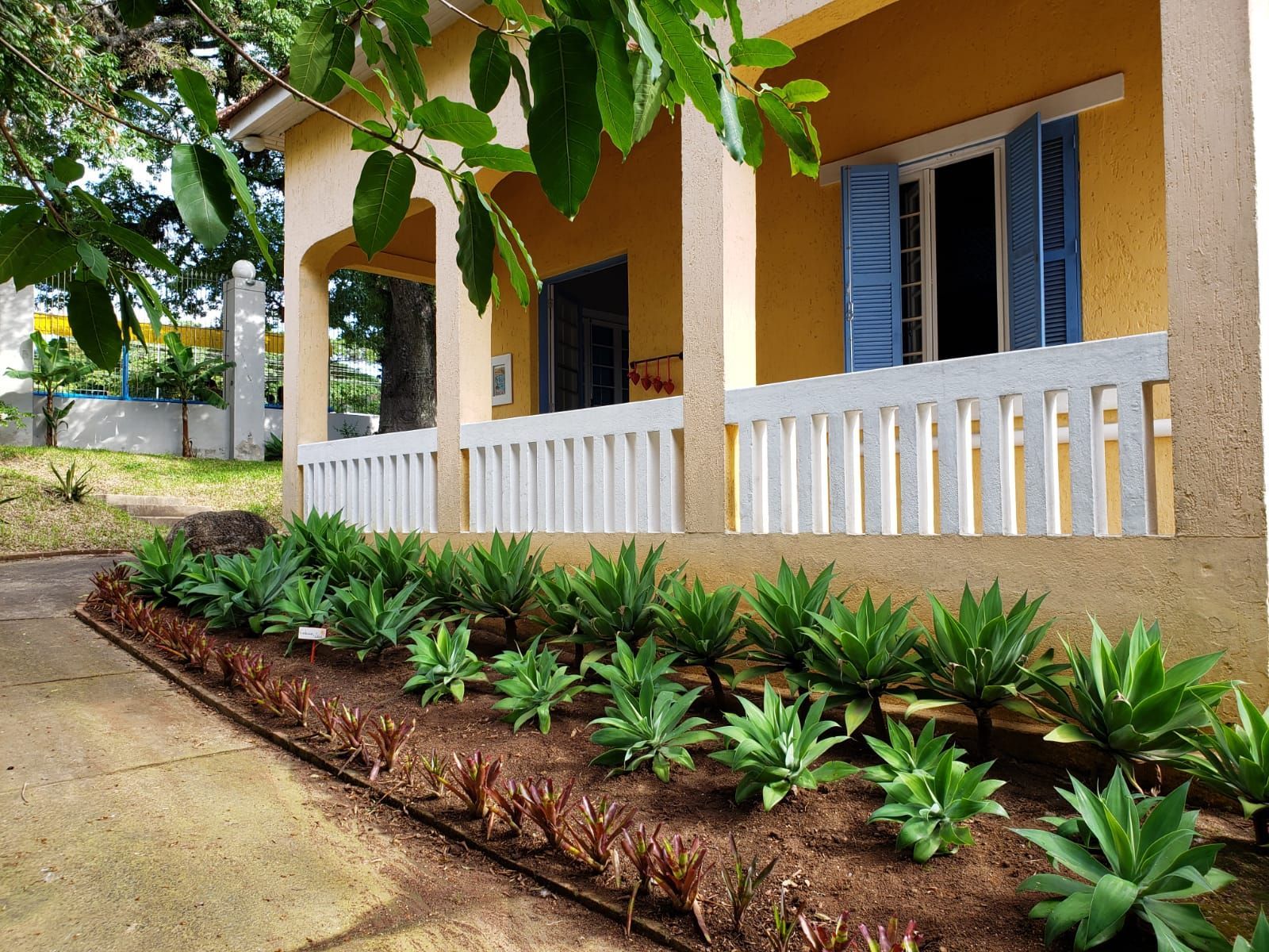 Casa Centenária no Bairro Belém Velho Residencial/Comercial — foto 7