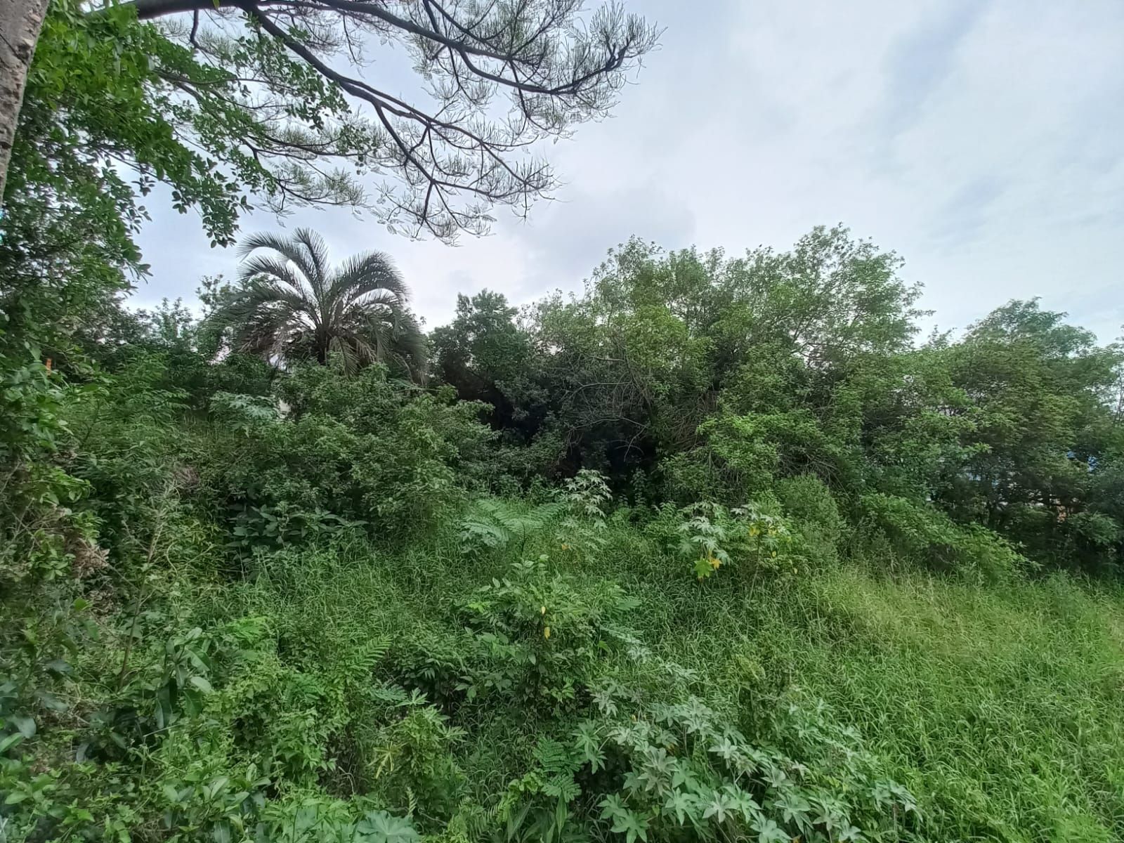 Terreno com Projeto Aprovado para 33 sobrados na Zona Sul de Porto Alegre — foto 3