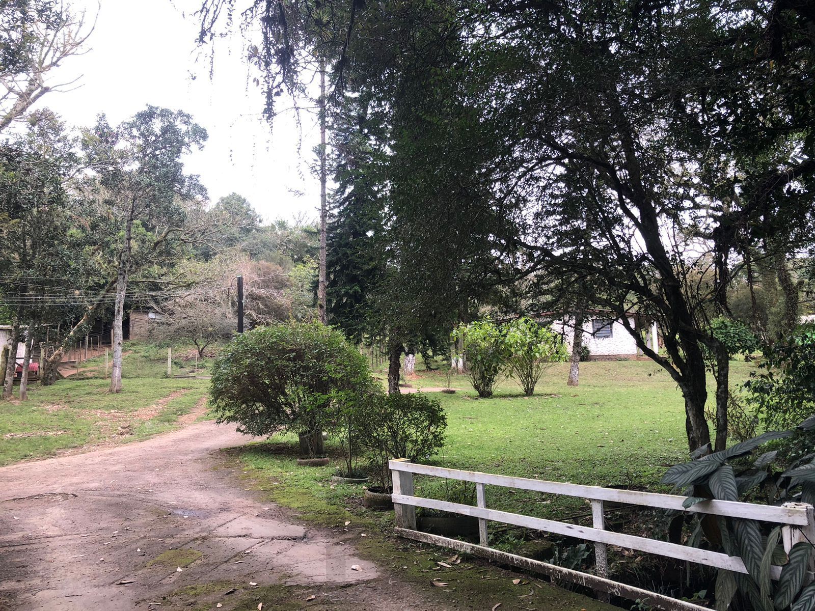 Sítio Rural de 121.672,00 M² no Bairro Belém Velho Poa-RS — foto 7