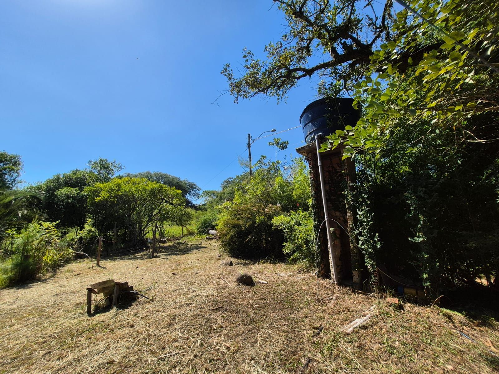 Sítio com casa de 3 dormitórios e 3.000m² à venda no Canta Galo em Porto Alegre — foto 35