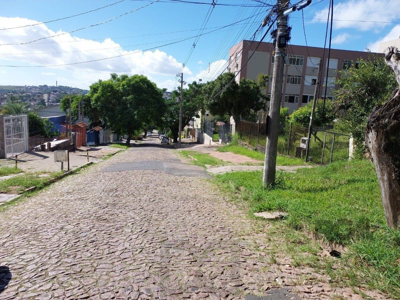 — foto 11