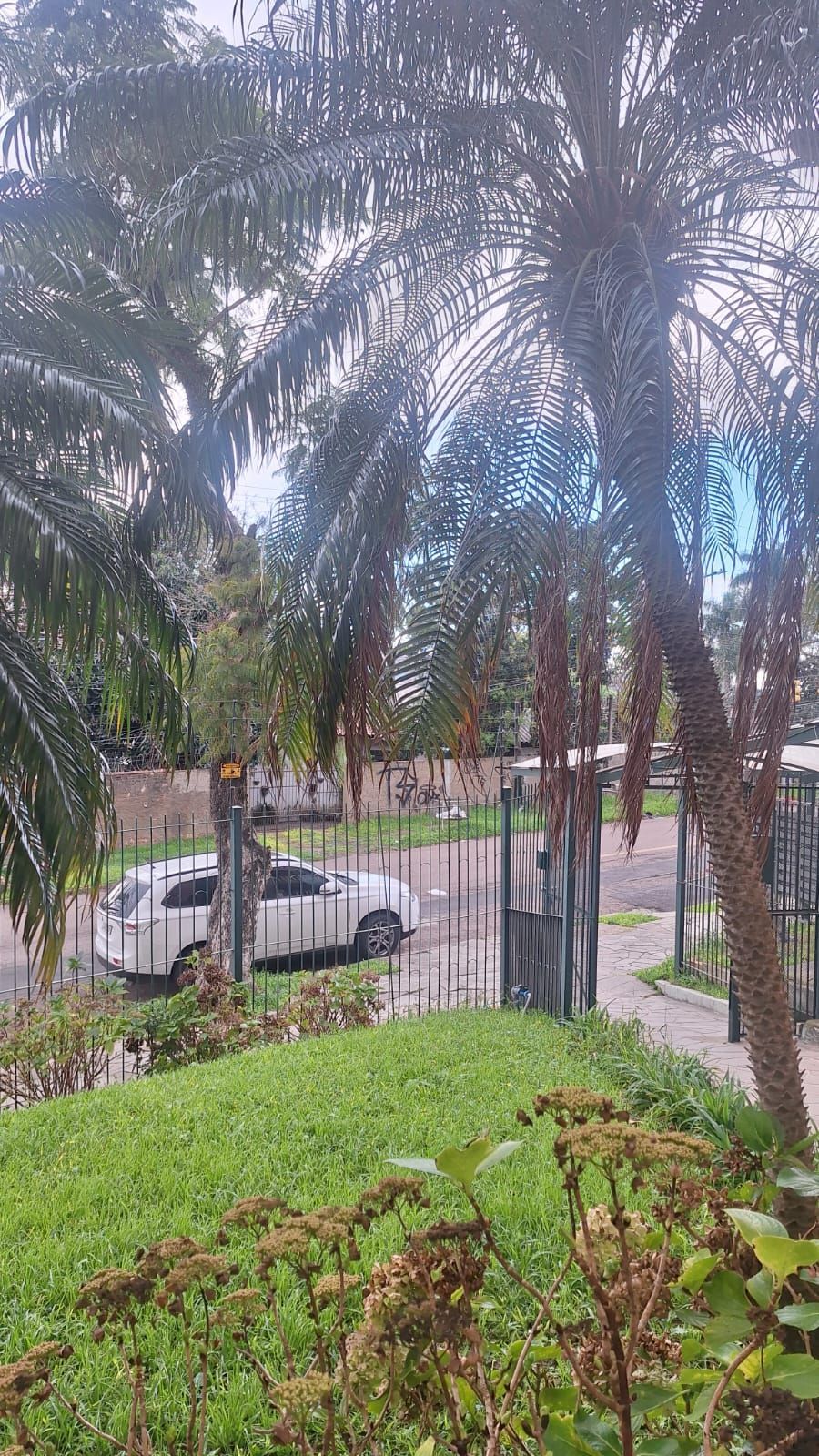 Apartamento de 1 dormitório - Teresopolis — foto 4