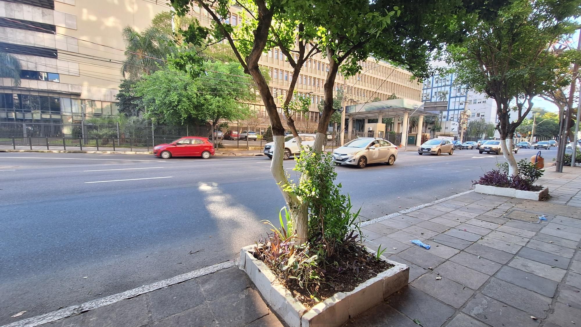 Oportunidade!! Apartamento de 3 dormitórios prox a UFCSPA — foto 13