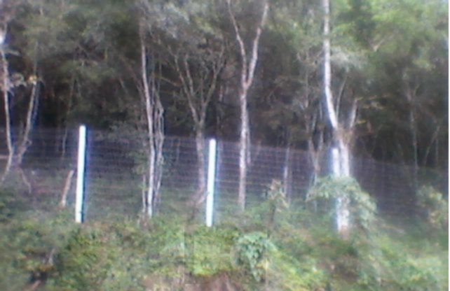 Terreno para Venda - 5100m², Ponta Grossa — foto 3
