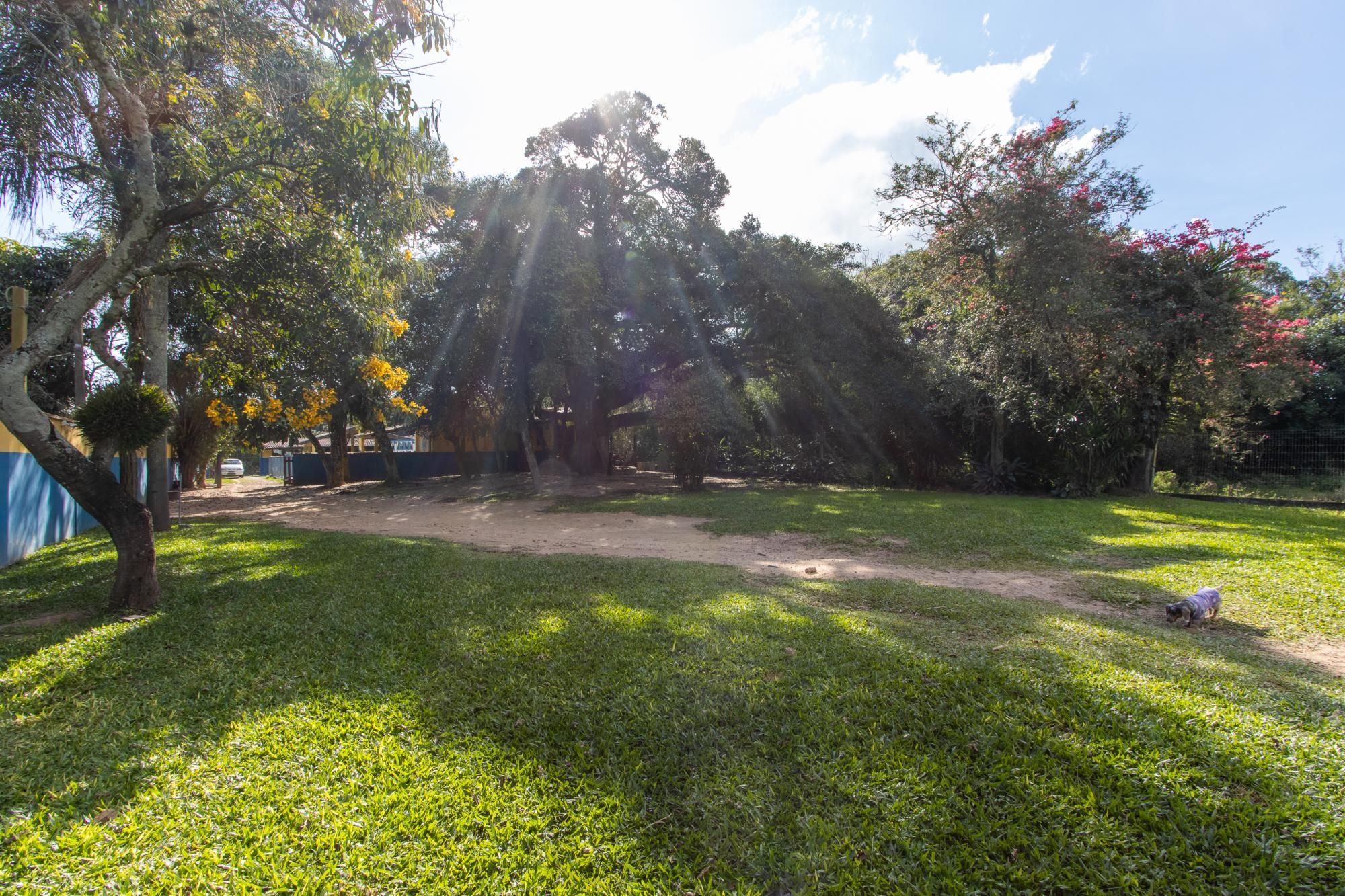 Sitio com área de 1.800m², Residencial e Comercial - Bairro Belem Novo - Porto Alegre — foto 2