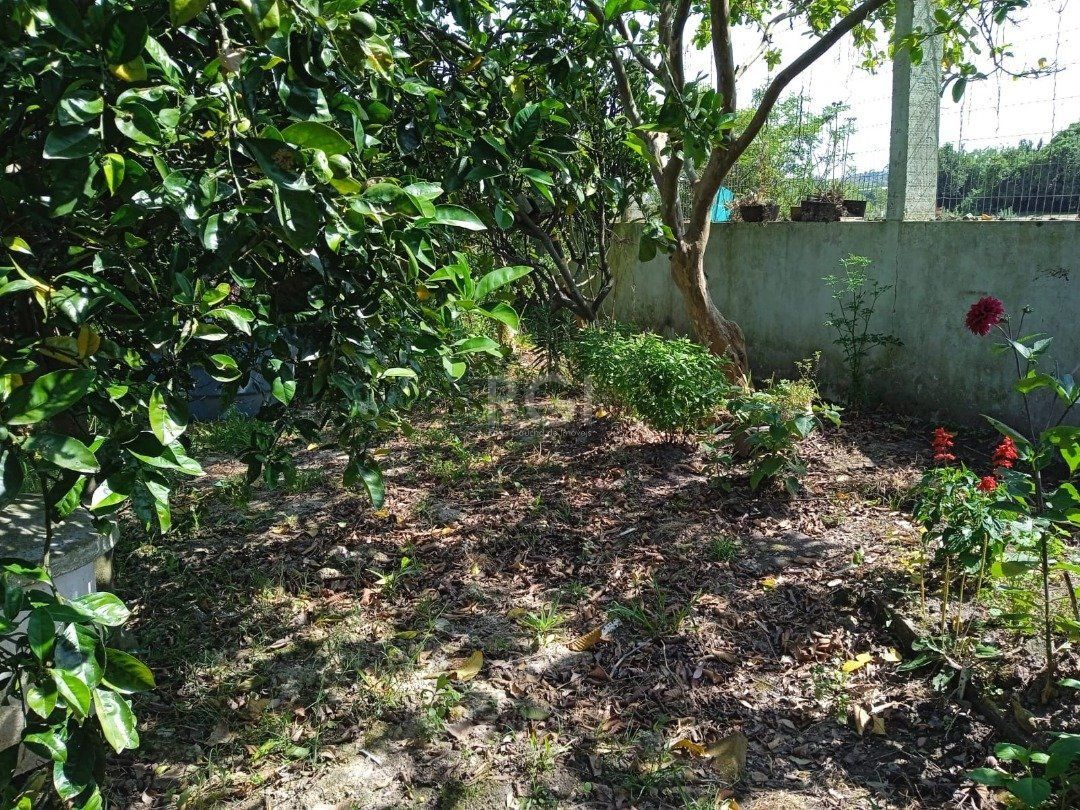 Casa para Venda - 72m², 2 dormitórios, sendo 2 suites, Lageado — foto 9