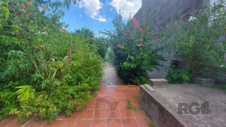 — foto 11