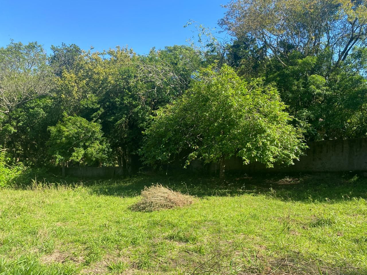 Excelente terreno! — foto 10