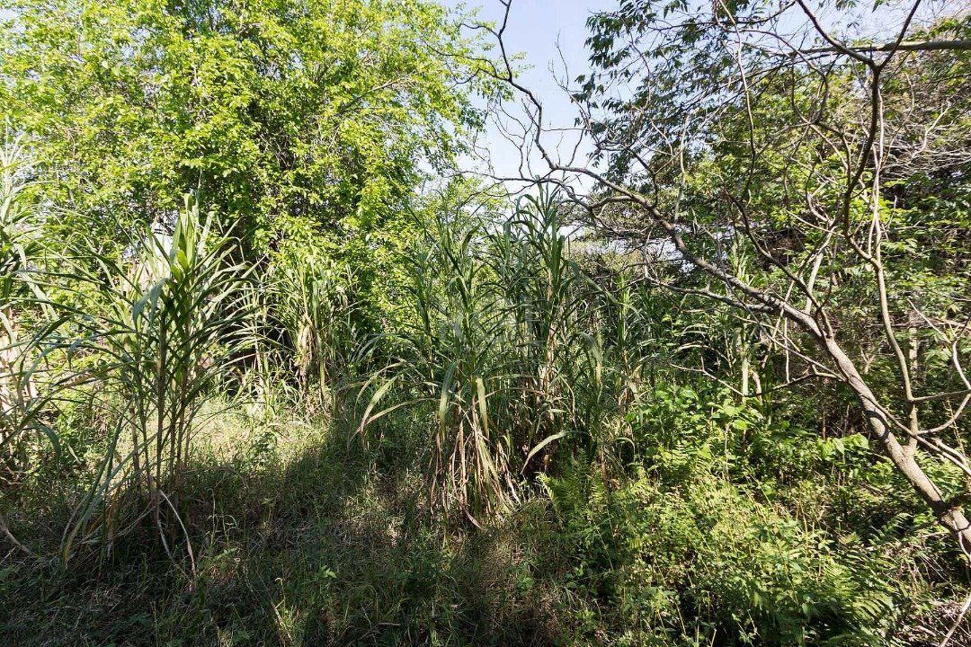 Terreno à venda em Chapéu do Sol, com área total de 345.03m². — foto 11